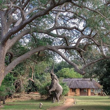 Track And Trail River Camp Kakumbi Bagian luar foto