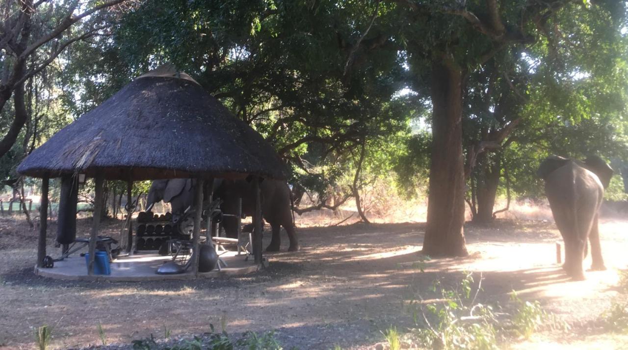 Track And Trail River Camp Kakumbi Bagian luar foto
