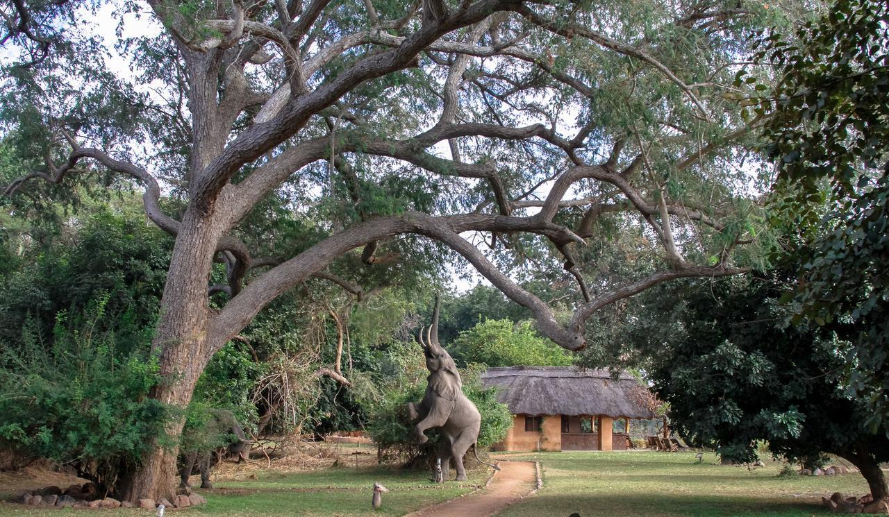 Track And Trail River Camp Kakumbi Bagian luar foto