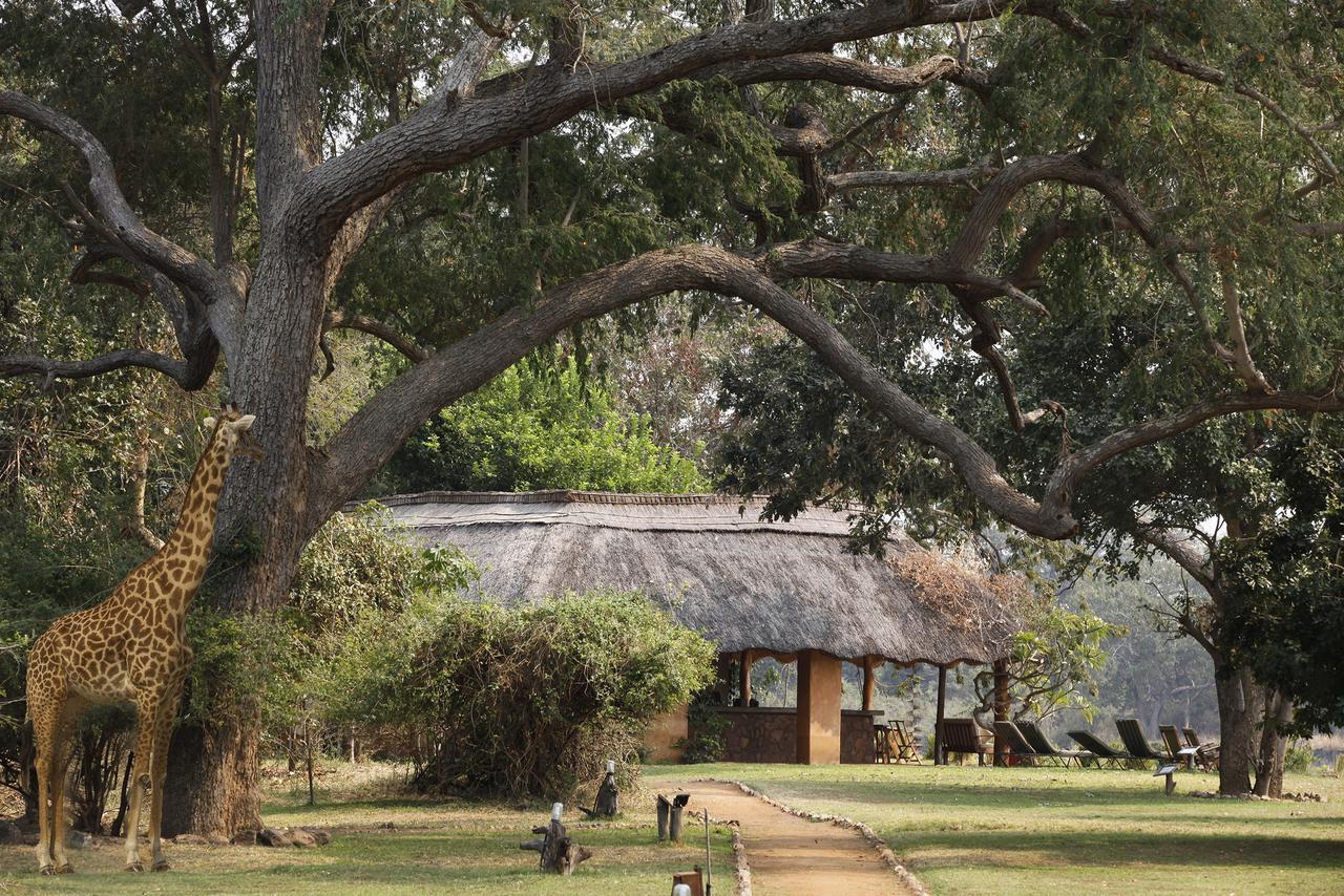 Track And Trail River Camp Kakumbi Bagian luar foto