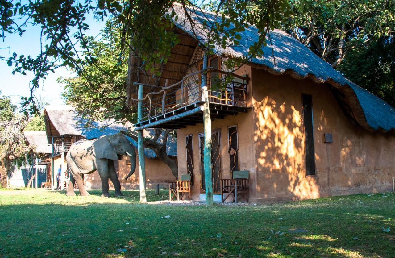 Track And Trail River Camp Kakumbi Bagian luar foto